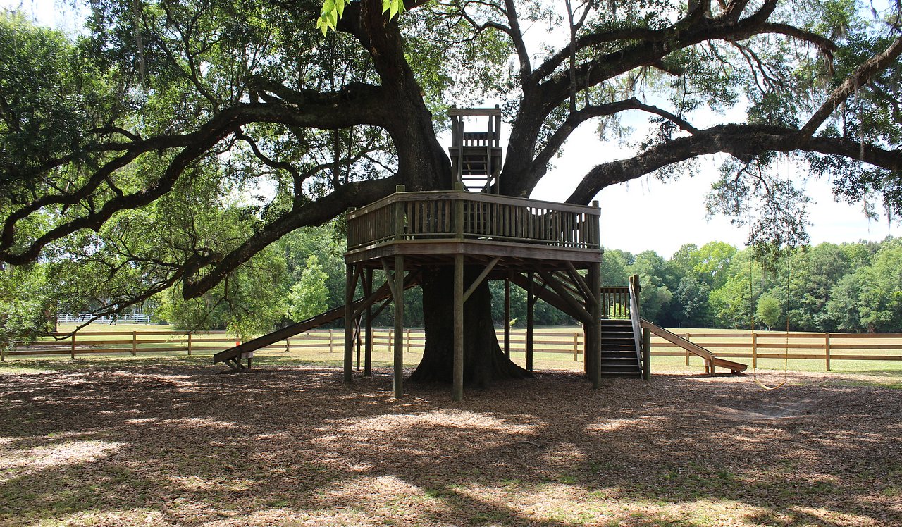 Treehouse and Playground